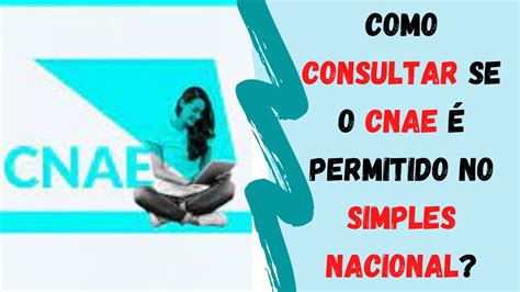 consulta cnae simples-1